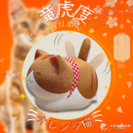 Gato Japonés Solar (naranja) / オレンジ猫