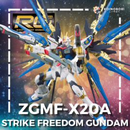 Strike Freedom Gundam / Real Grade