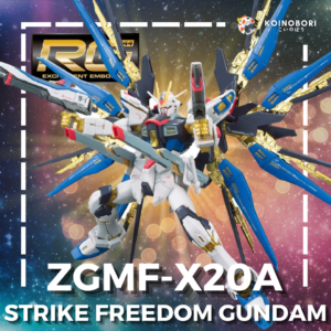 Strike Freedom Gundam / Real Grade