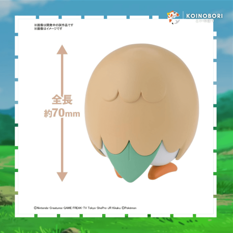 264